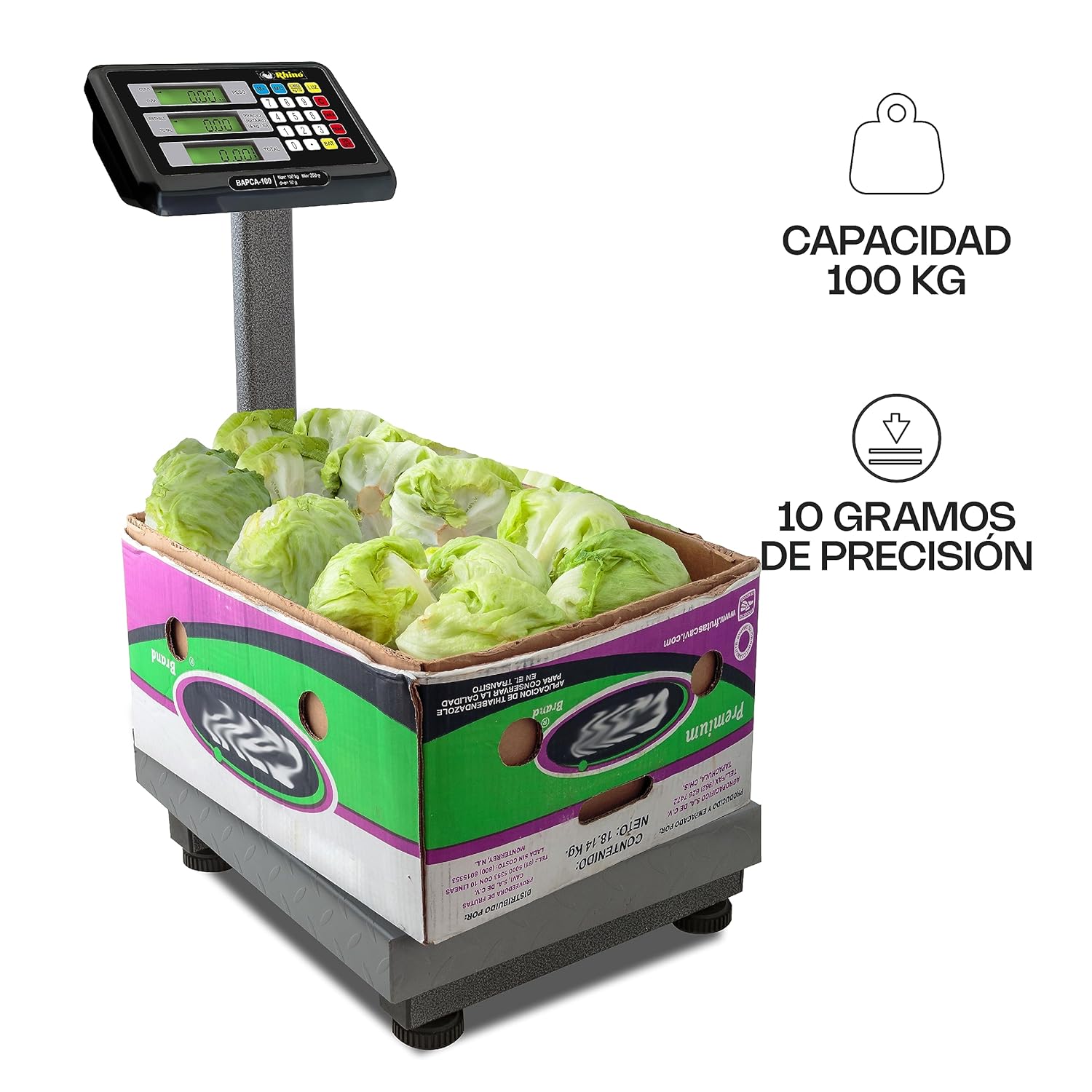 Bascula de plataforma plegable BAPCA-100